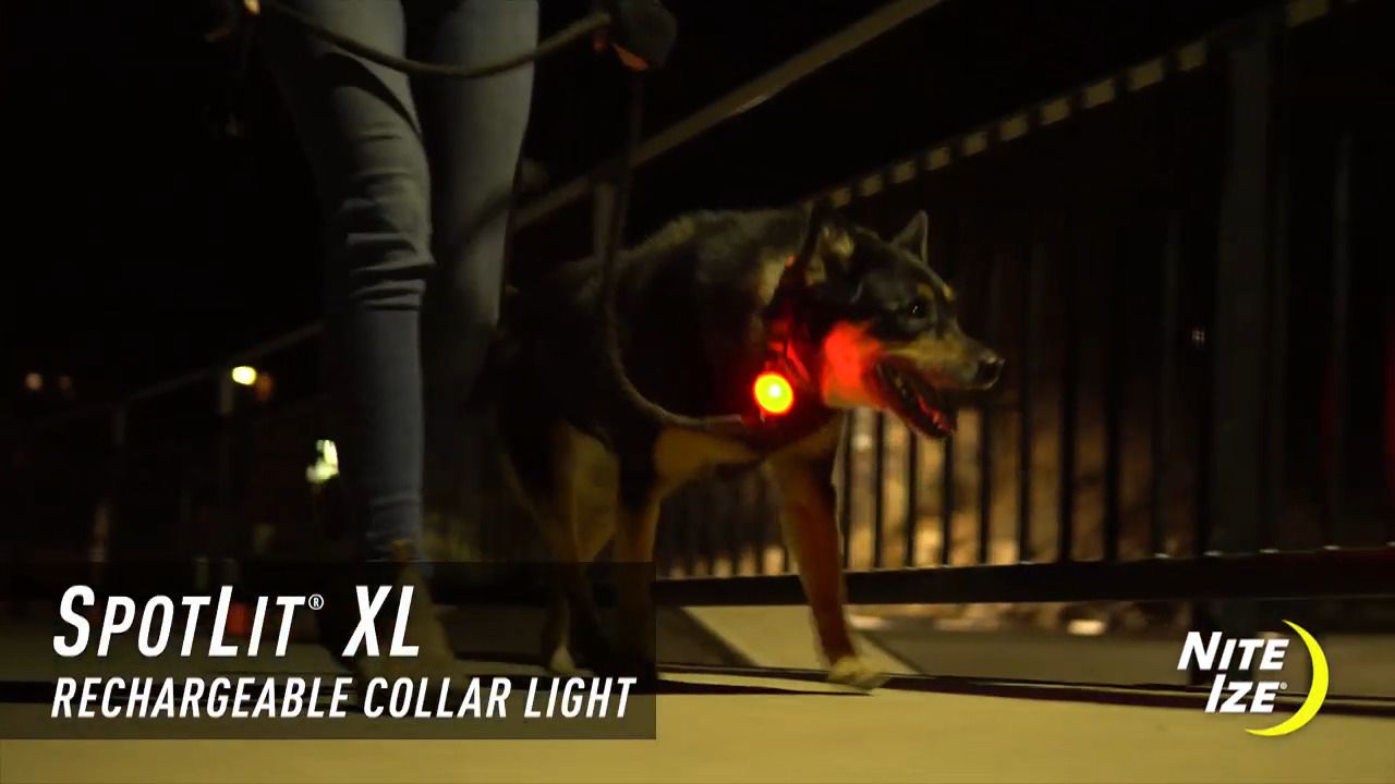 opplanet nite ize spotlit xl rechargeable collar light disc o select video