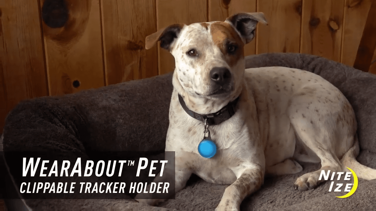 opplanet nite ize wearabout pet clippable tracker holder video