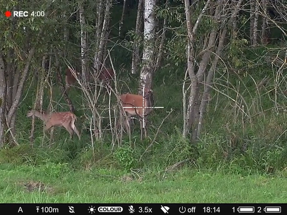 opplanet pulsar digex c50 deer time 18h video