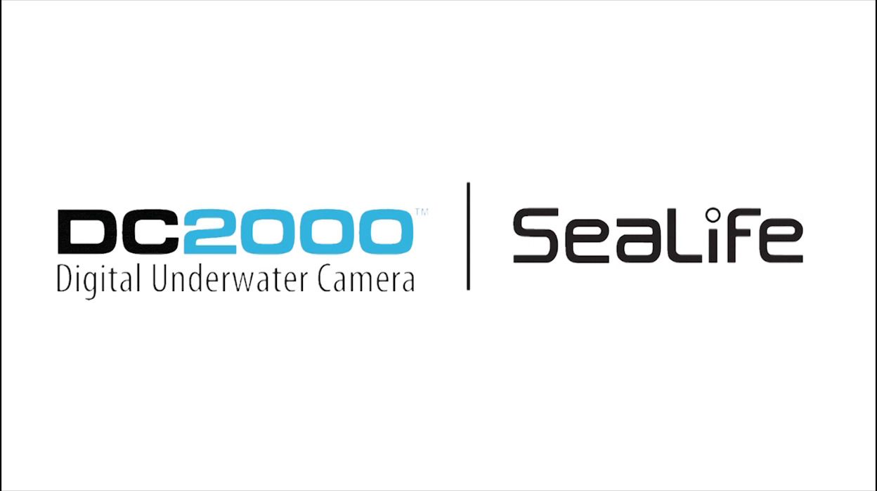 opplanet sealife dc2000 digital underwater camera video