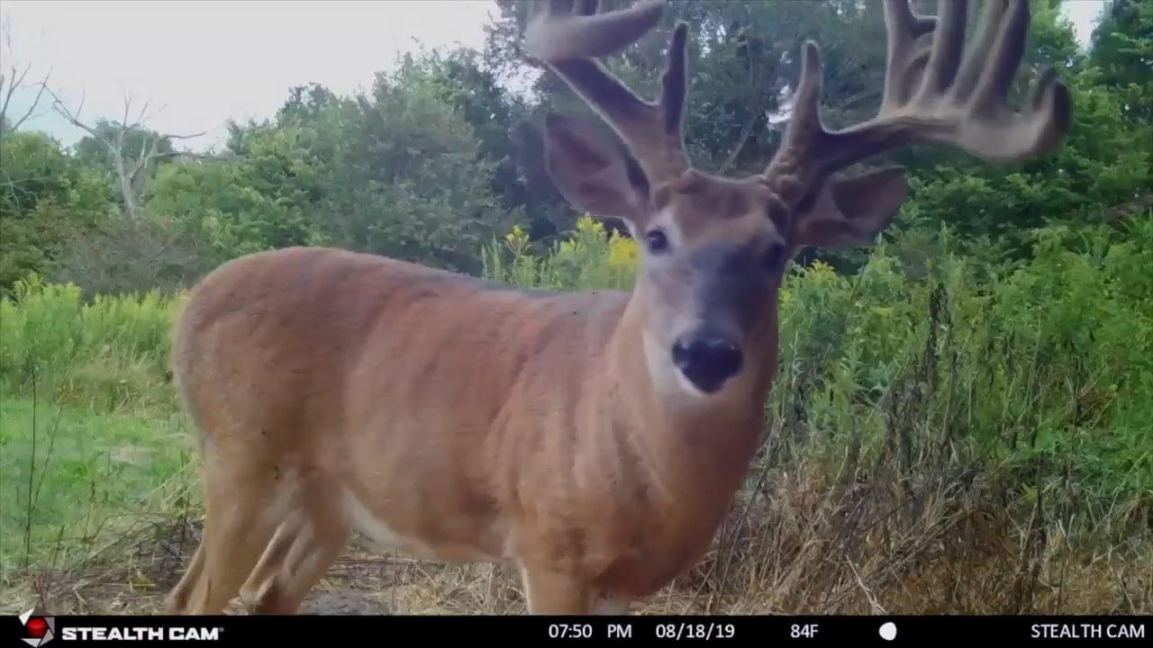 opplanet stealth cam ds4k footage video