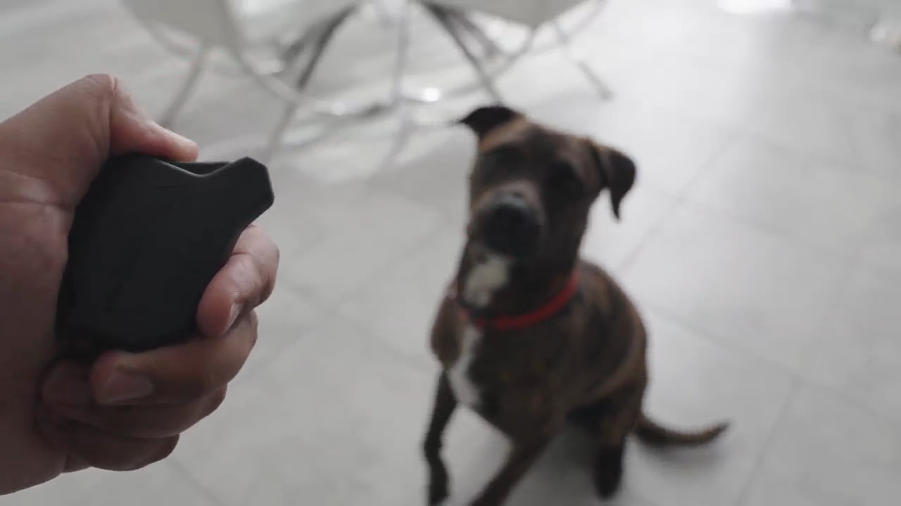 opplanet strike industries clicker dog only video
