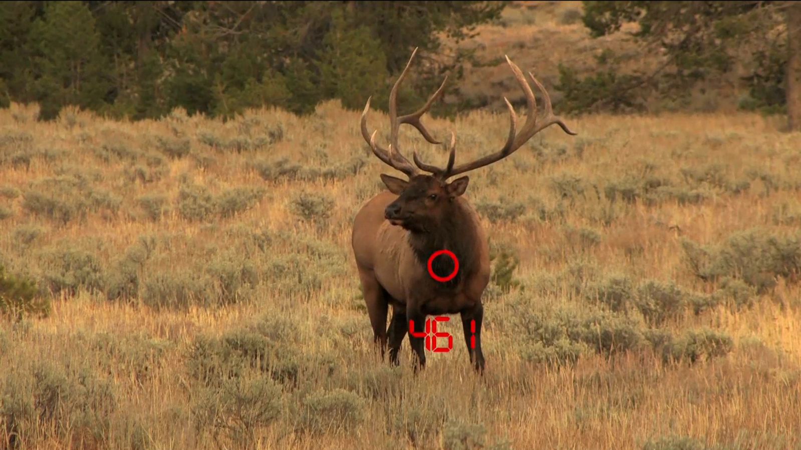 opplanet zeiss victory rf and prf video flv